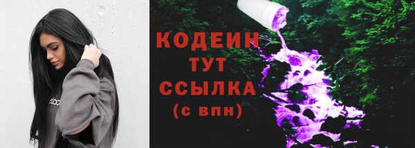 мдпв Пересвет