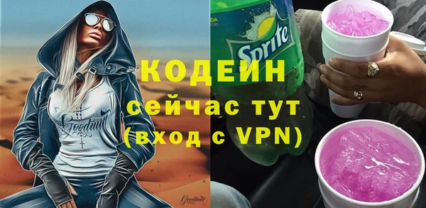 шишки Переславль-Залесский