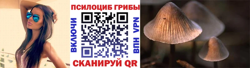 как найти   Каменск-Шахтинский  Псилоцибиновые грибы GOLDEN TEACHER 