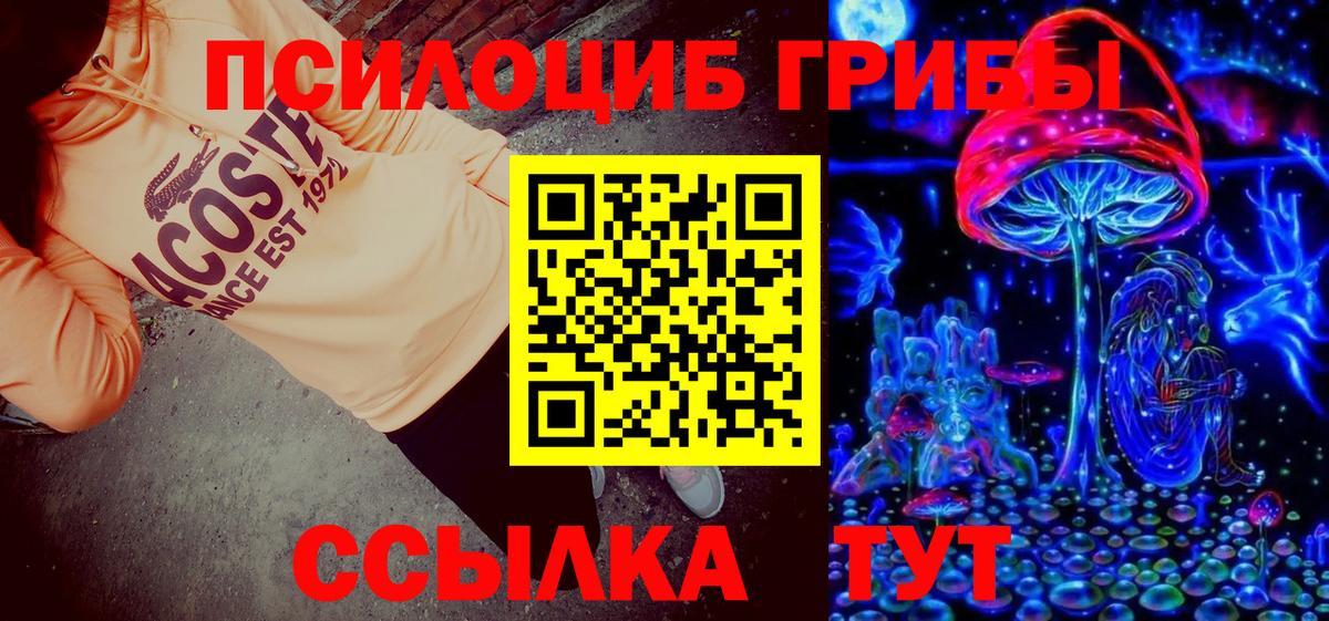 Псилоцибиновые грибы GOLDEN TEACHER Каменск-Шахтинский
