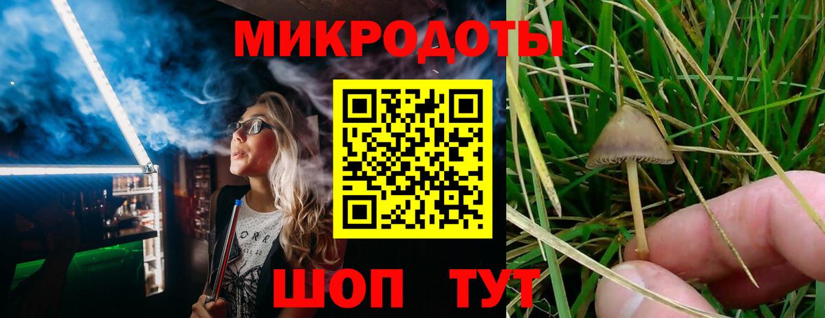 Каменск-Шахтинский  Псилоцибиновые грибы мицелий  Вход с VPN  Псилоцибиновые грибы Magic Shrooms 